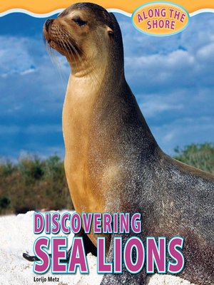 cover image of Discovering Sea Lions